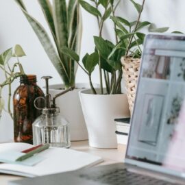 6 Plants that will survive your office