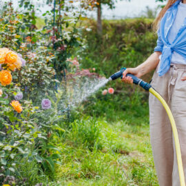 Water-smart gardening solutions for hot summer gardens