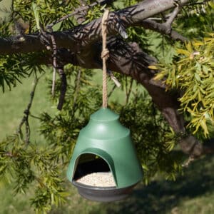 GREEN DOME BIRD FEEDER