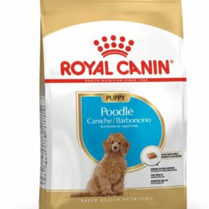 POODLE PUPPY 3KG