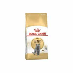 BRITISH SHORTHAIR CAT 4KG
